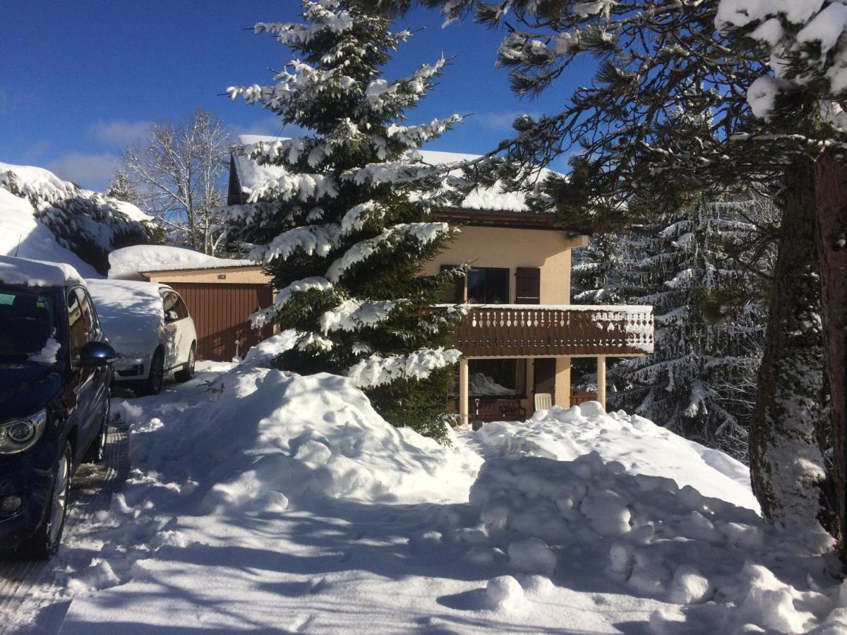 Chalet Les Trolles Les Gets Bagian luar foto