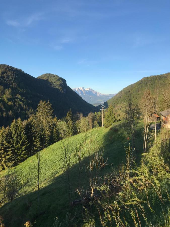 Chalet Les Trolles Les Gets Bagian luar foto